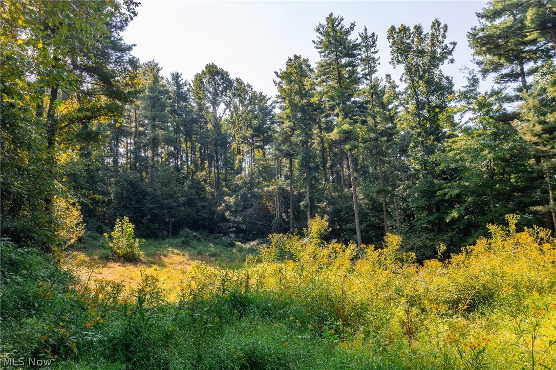 Pumpkin Ridge Road Quaker City OH 43773