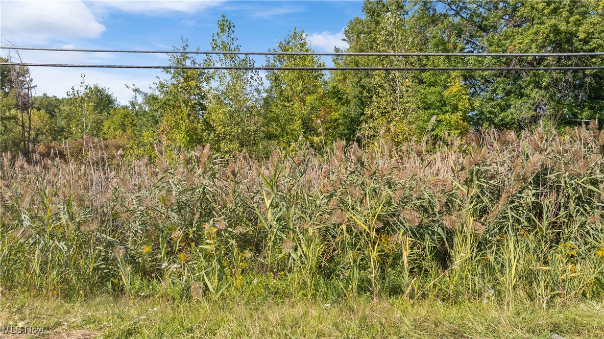 Bagley Road North Ridgeville OH 44039
