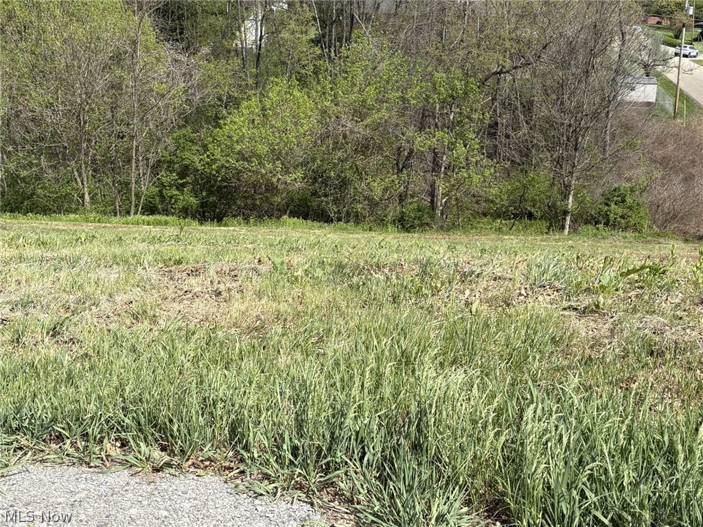 Bantam Ridge Wintersville OH 43953