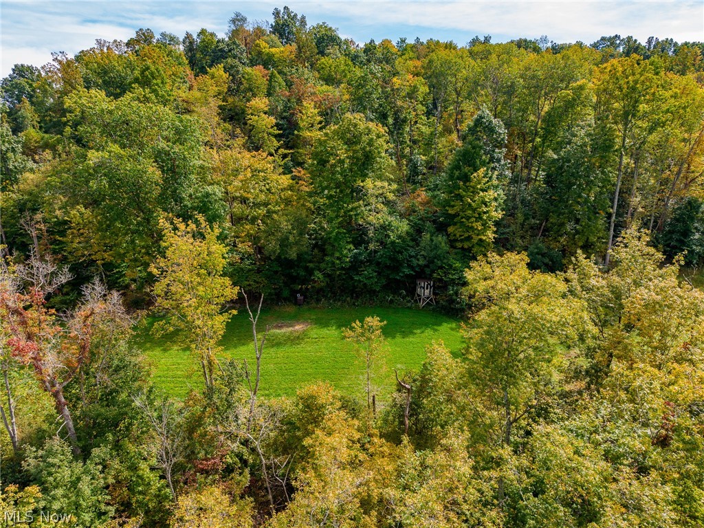 Lew Marten Road Summerfield OH 43788