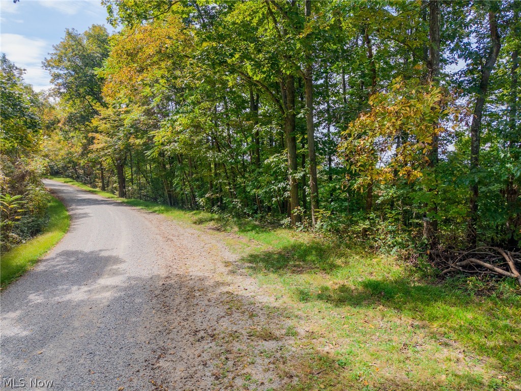 Lew Marten Road Summerfield OH 43788