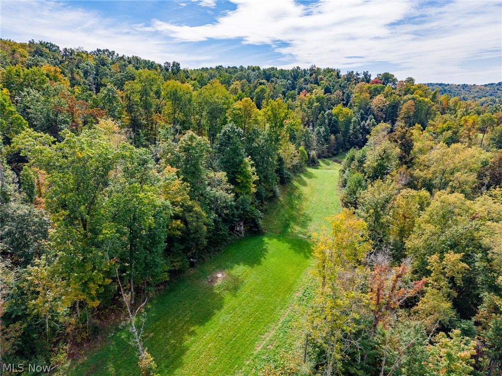 Lew Marten Road Summerfield OH 43788