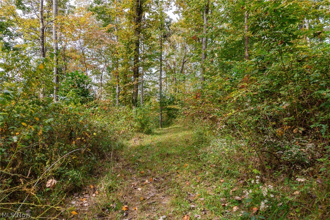 Lew Marten Road Summerfield OH 43788