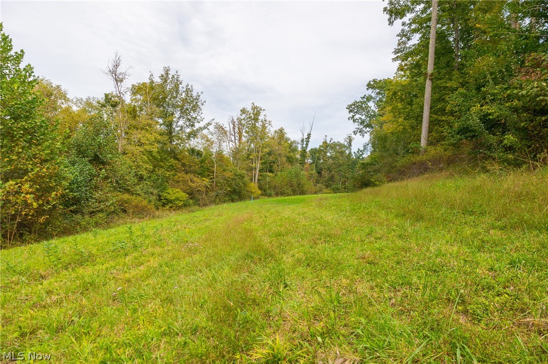 Lew Marten Road Summerfield OH 43788