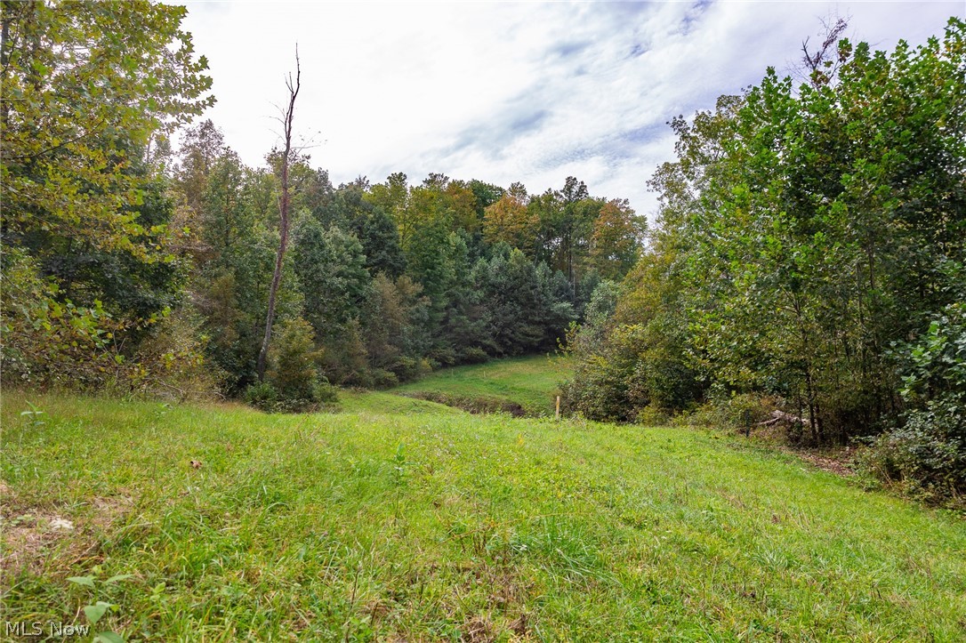 Lew Marten Road Summerfield OH 43788