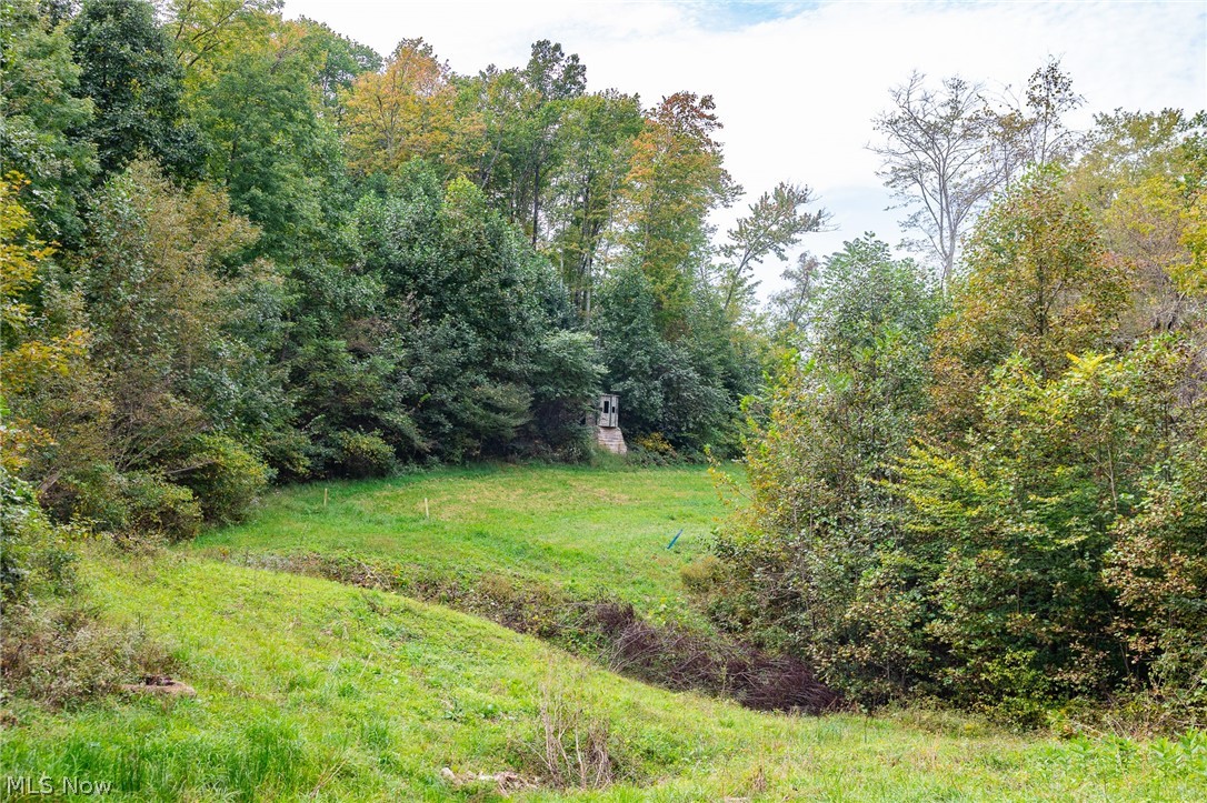 Lew Marten Road Summerfield OH 43788