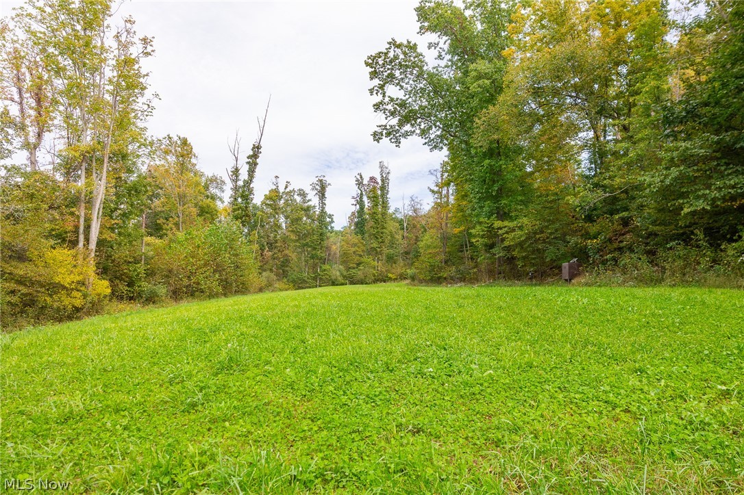 Lew Marten Road Summerfield OH 43788