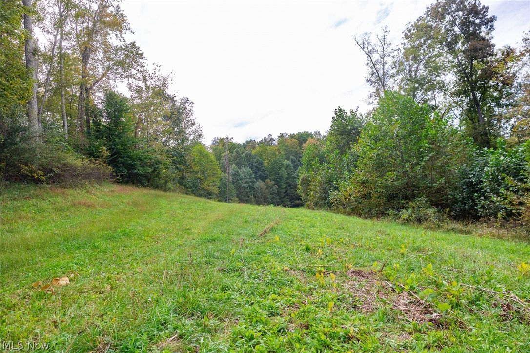 Lew Marten Road Summerfield OH 43788