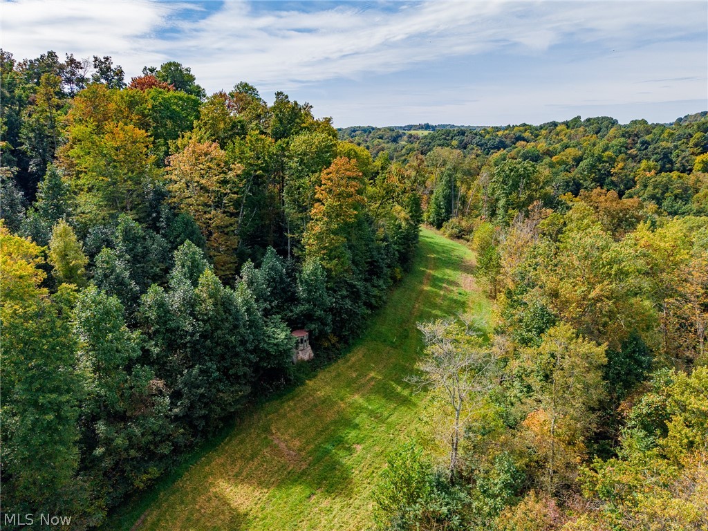 Lew Marten Road Summerfield OH 43788