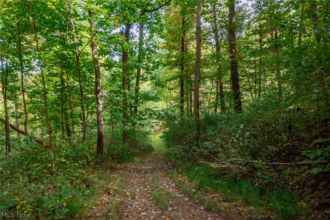Lew Marten Road Summerfield OH 43788