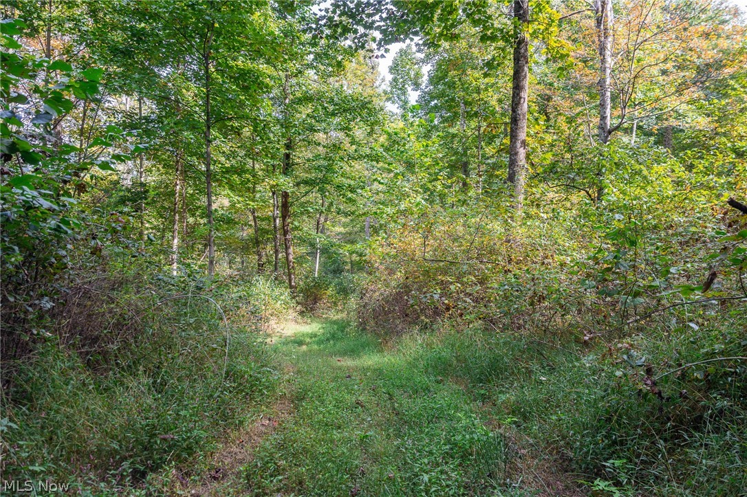 Lew Marten Road Summerfield OH 43788