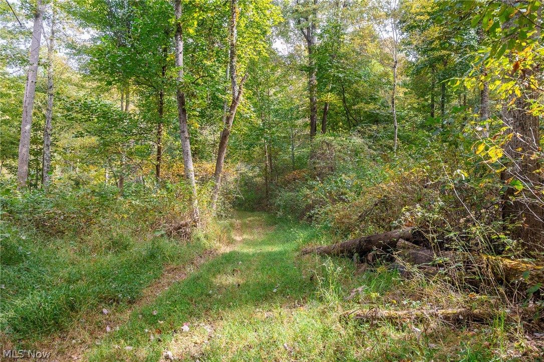 Lew Marten Road Summerfield OH 43788