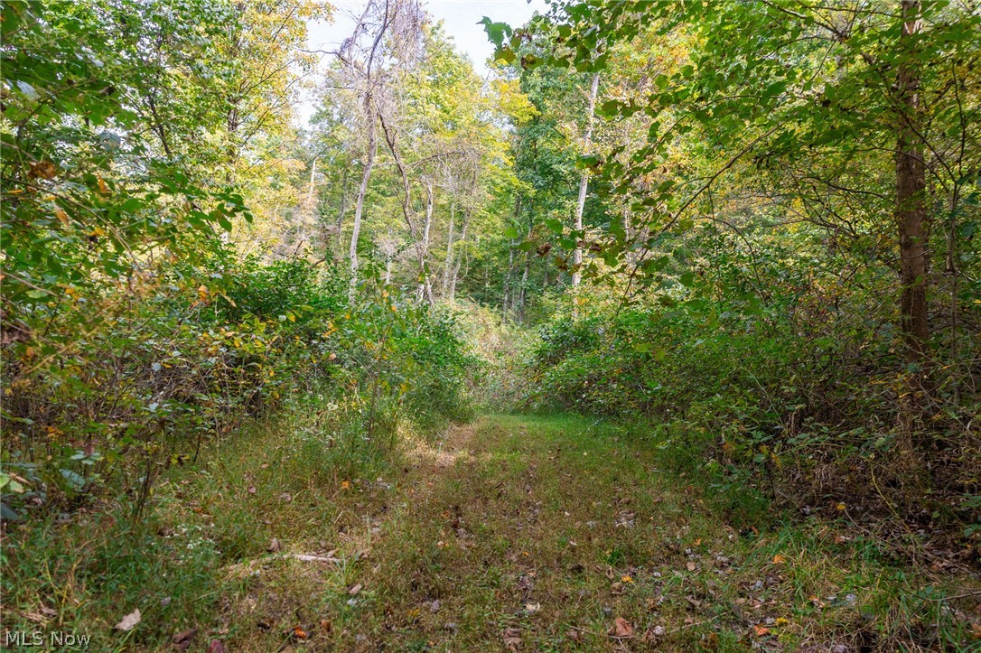 Lew Marten Road Summerfield OH 43788