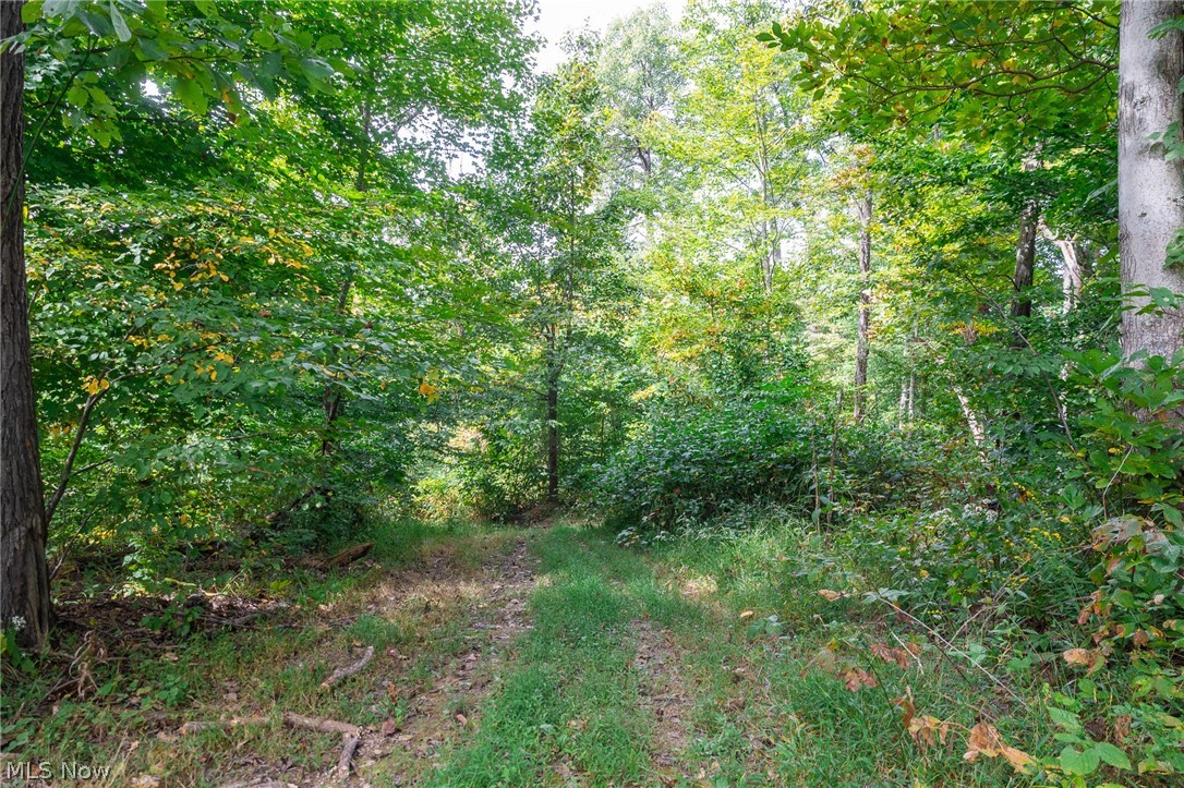 Lew Marten Road Summerfield OH 43788
