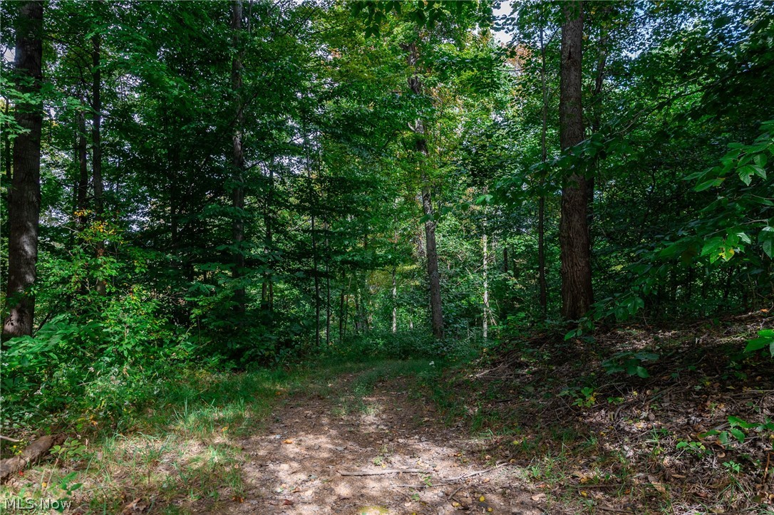 Lew Marten Road Summerfield OH 43788