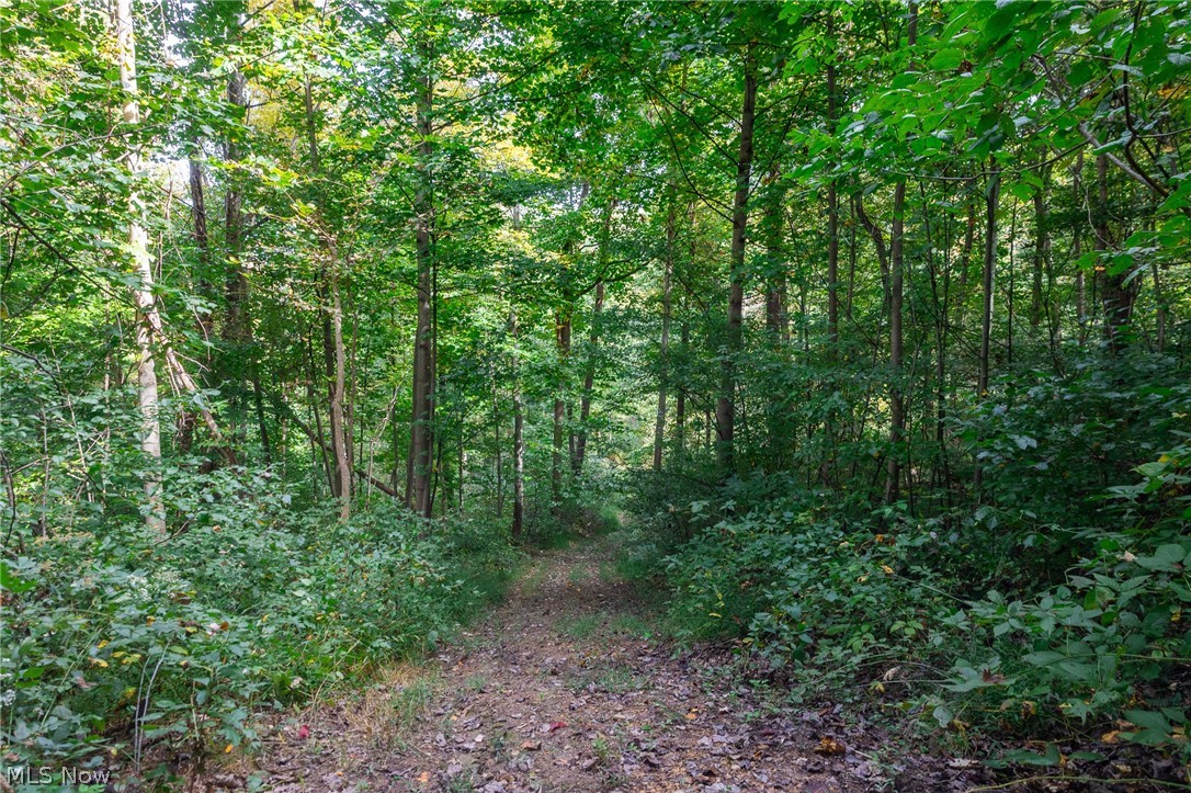 Lew Marten Road Summerfield OH 43788