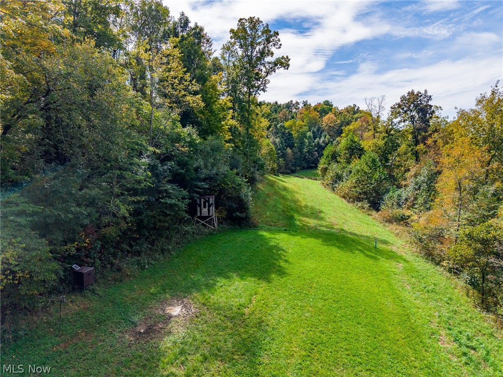 Lew Marten Road Summerfield OH 43788