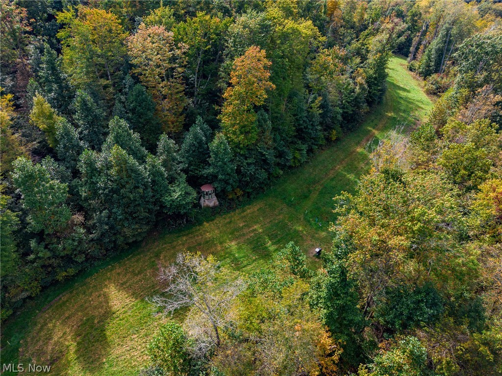 Lew Marten Road Summerfield OH 43788