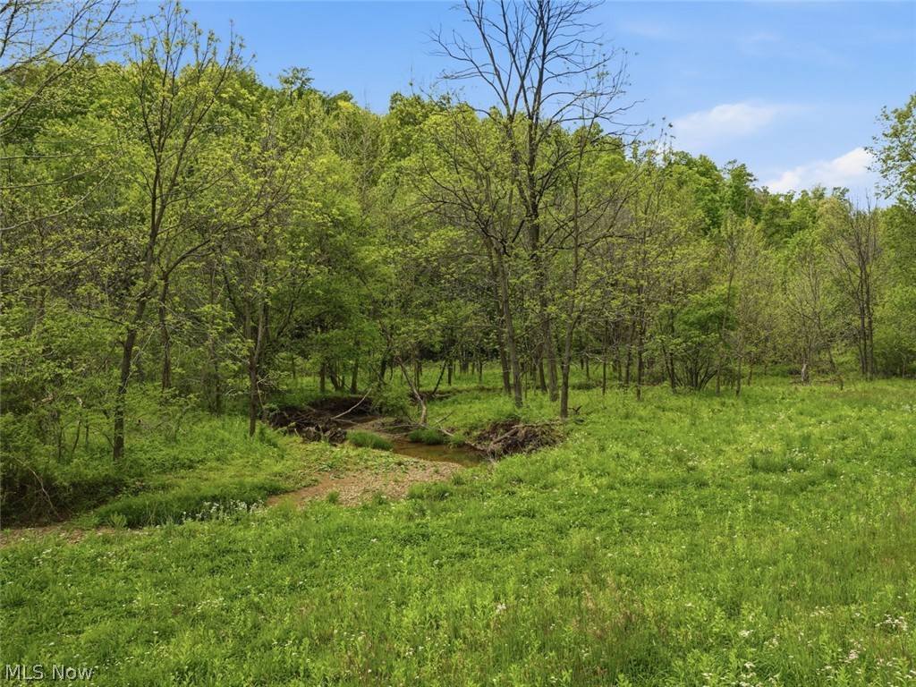 0 Pratts Run Road Clarington OH 43793