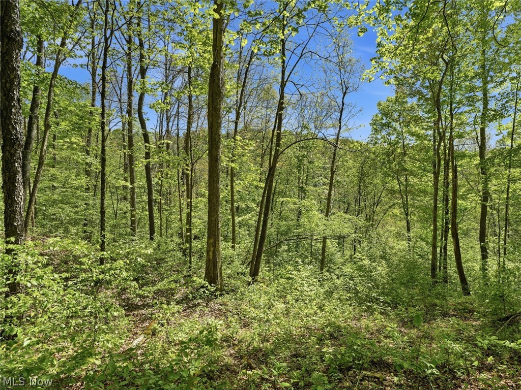 0 Pratts Run Road Clarington OH 43793
