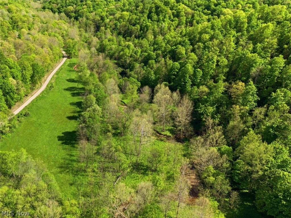0 Pratts Run Road Clarington OH 43793