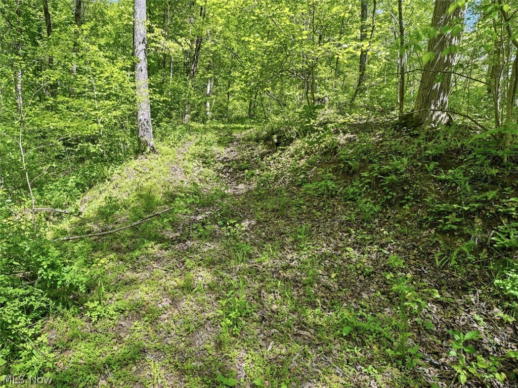 0 Pratts Run Road Clarington OH 43793