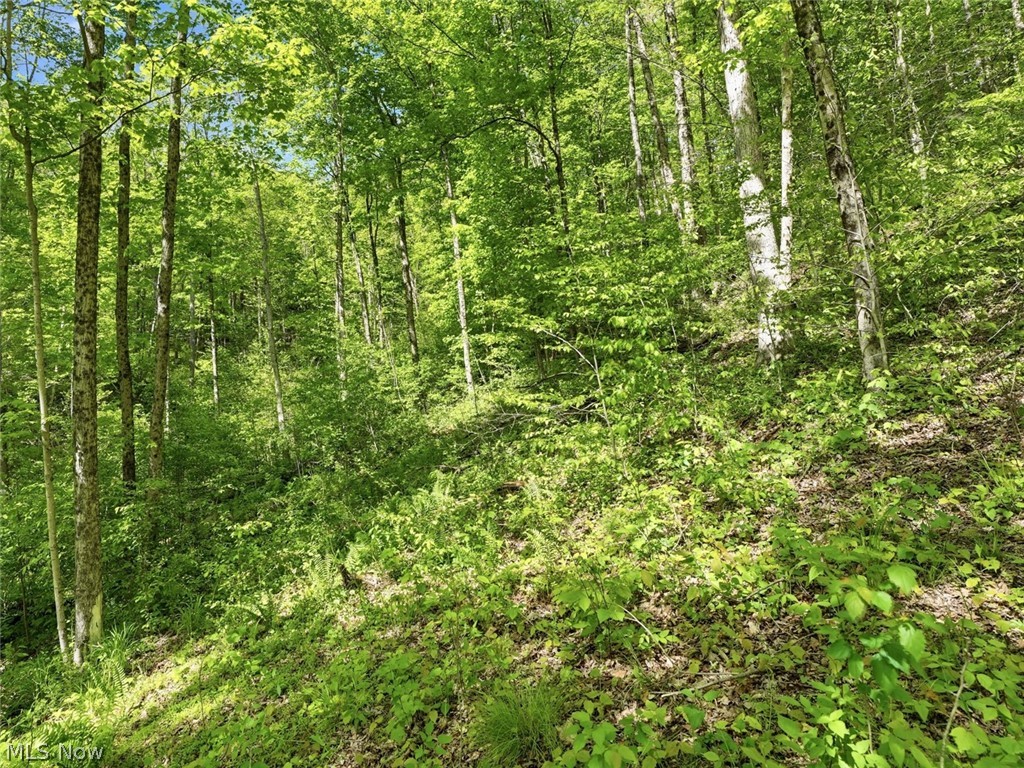 0 Pratts Run Road Clarington OH 43793