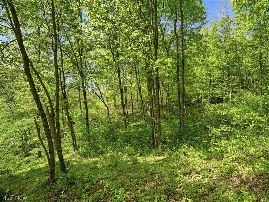 0 Pratts Run Road Clarington OH 43793
