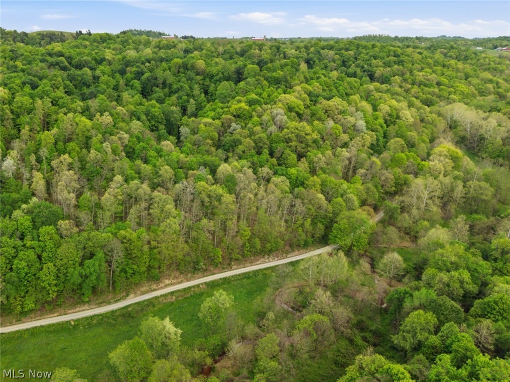 0 Pratts Run Road Clarington OH 43793