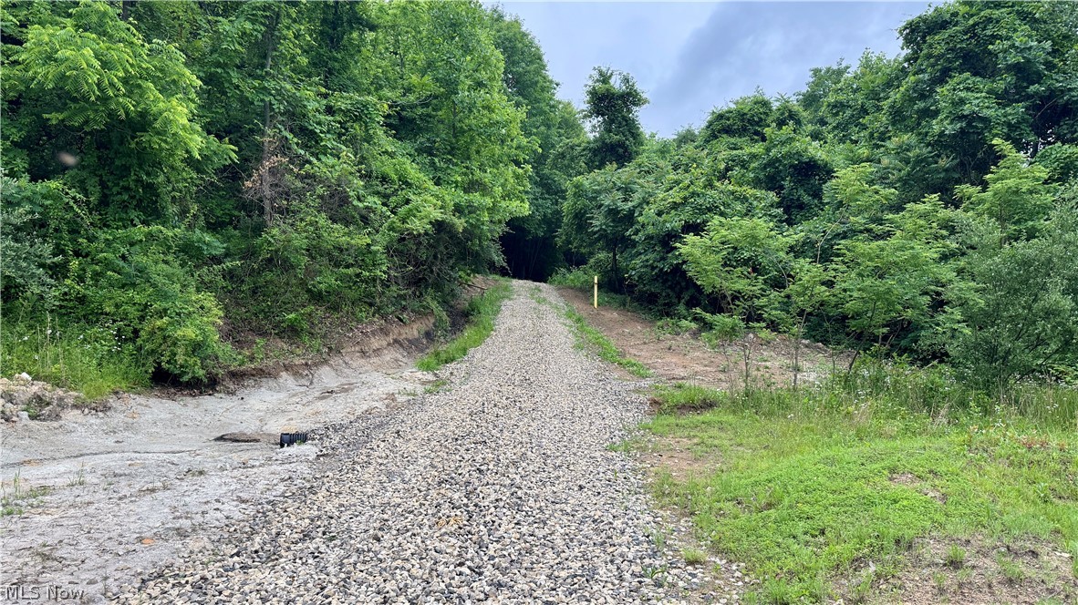 Marlott Run Road Newcomerstown OH 43983