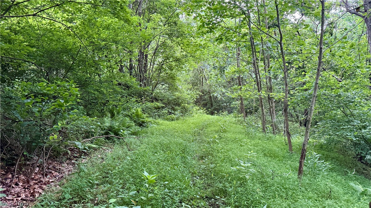 Marlott Run Road Newcomerstown OH 43983
