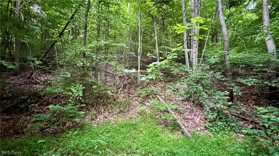 Marlott Run Road Newcomerstown OH 43983