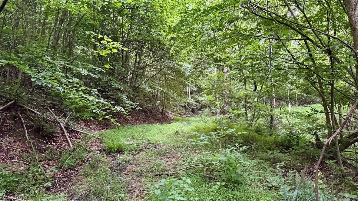 Marlott Run Road Newcomerstown OH 43983
