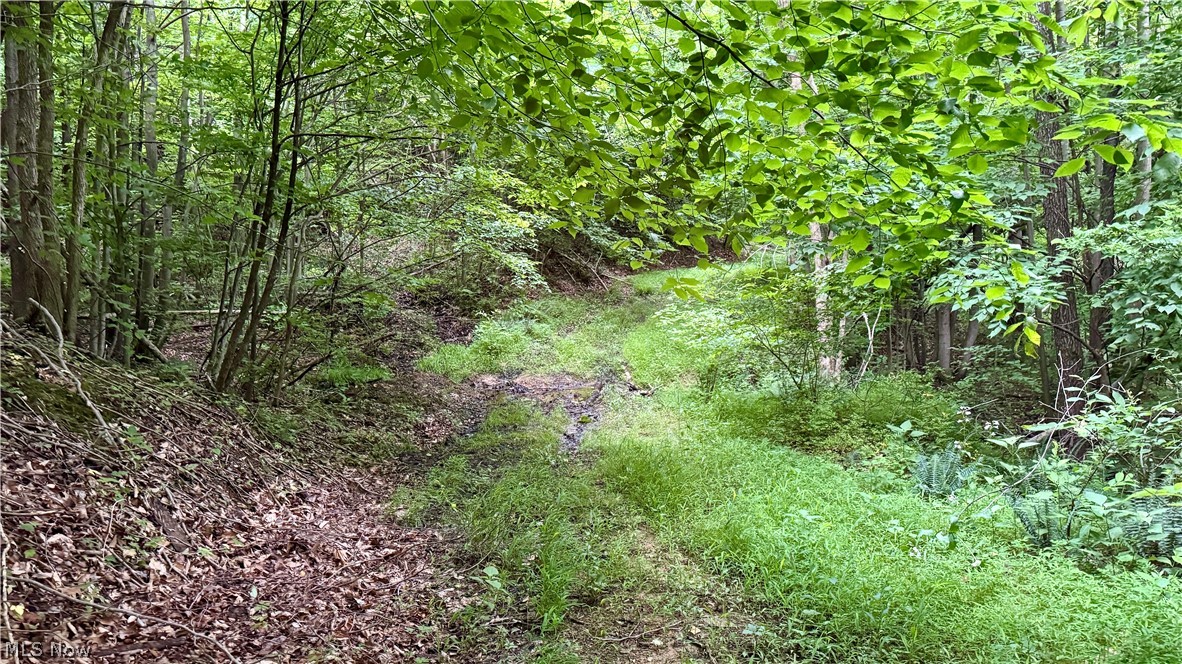 Marlott Run Road Newcomerstown OH 43983