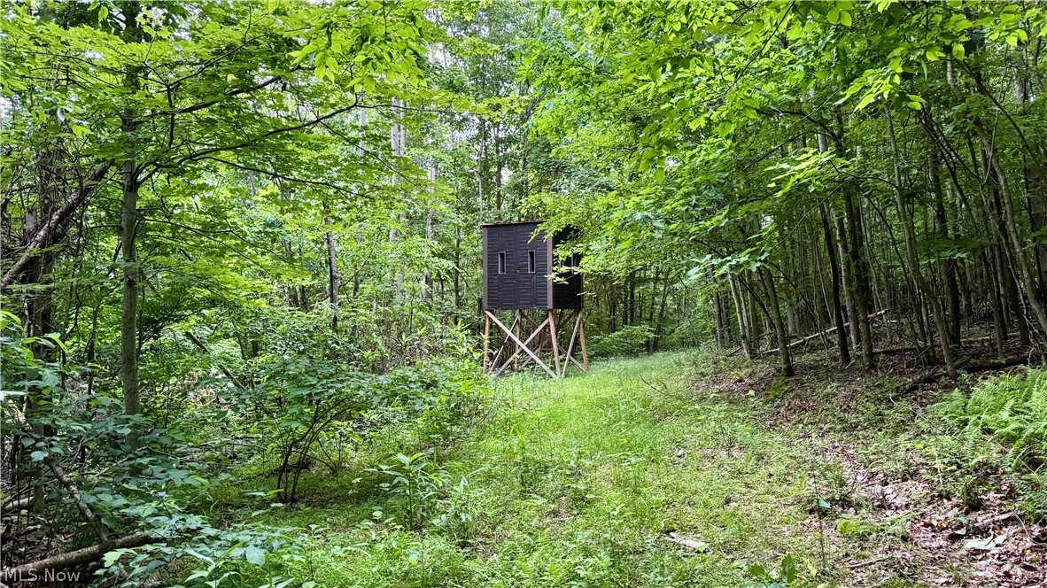 Marlott Run Road Newcomerstown OH 43983