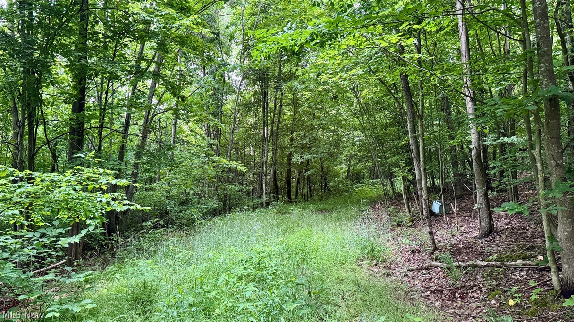Marlott Run Road Newcomerstown OH 43983