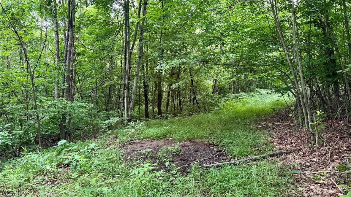 Marlott Run Road Newcomerstown OH 43983