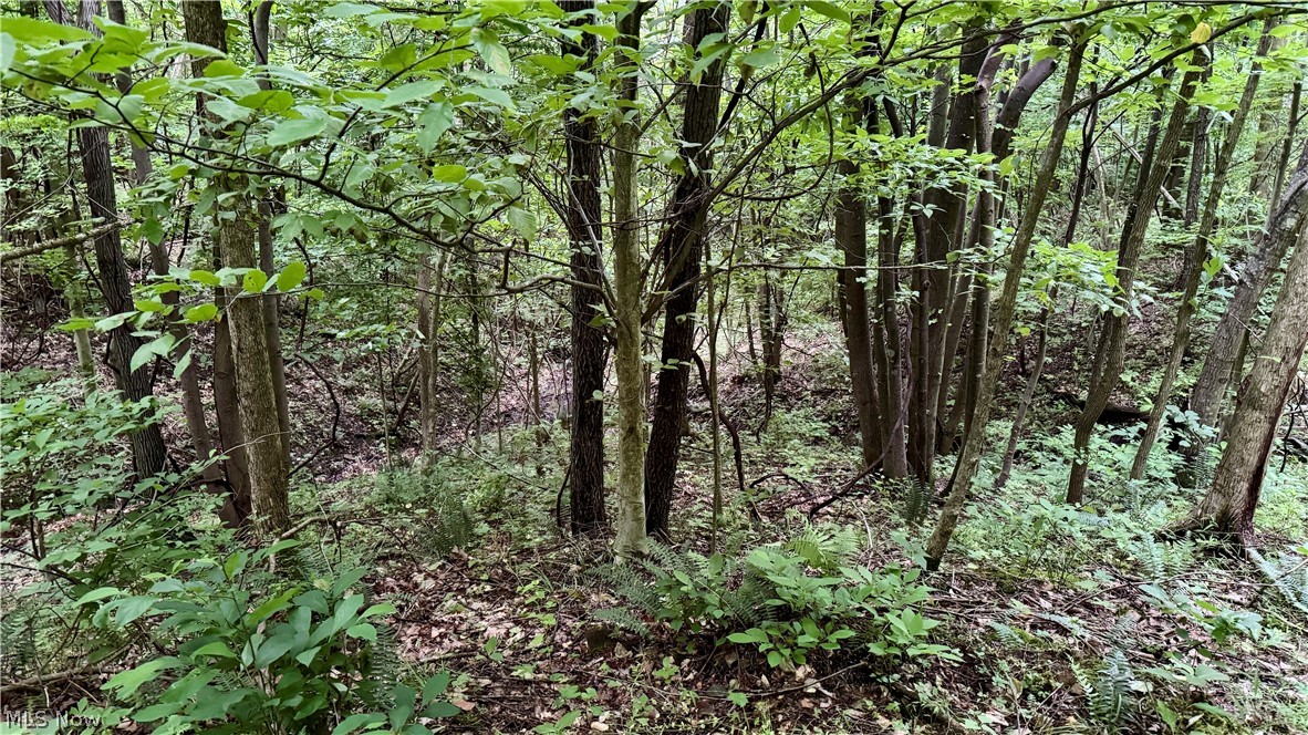 Marlott Run Road Newcomerstown OH 43983
