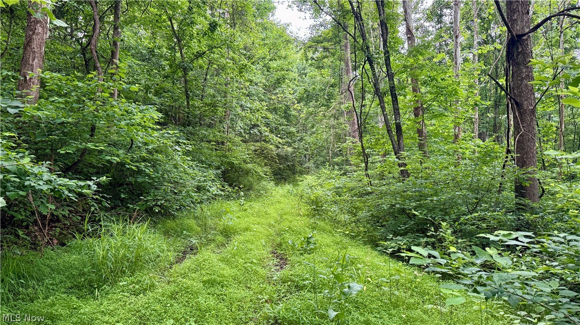 Marlott Run Road Newcomerstown OH 43983
