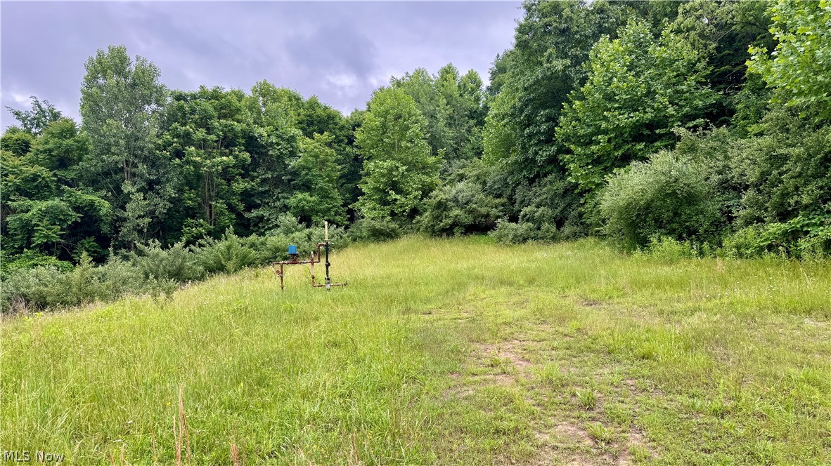 Marlott Run Road Newcomerstown OH 43983