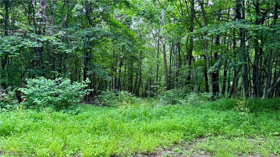 Marlott Run Road Newcomerstown OH 43983