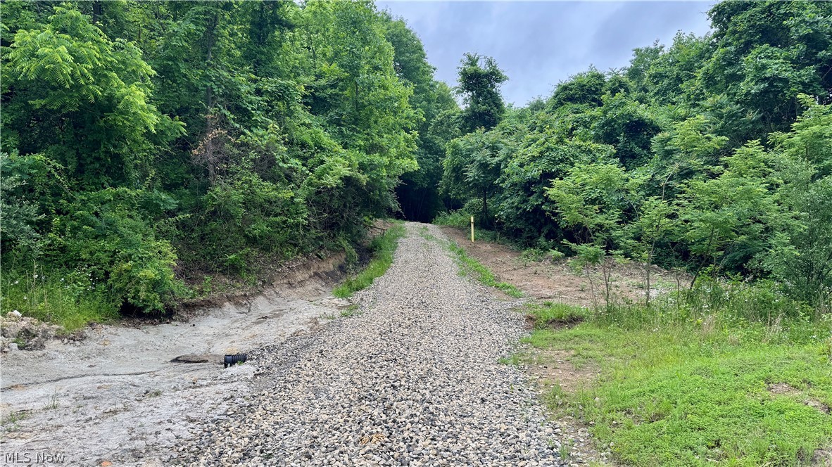 Marlott Run Road Newcomerstown OH 43983