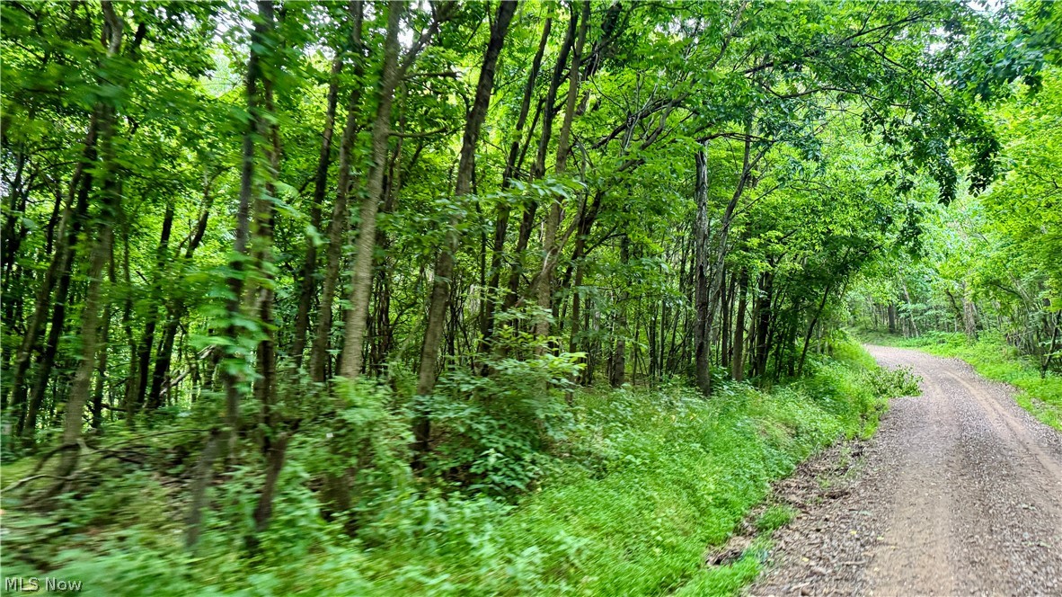 Marlott Run Road Newcomerstown OH 43983