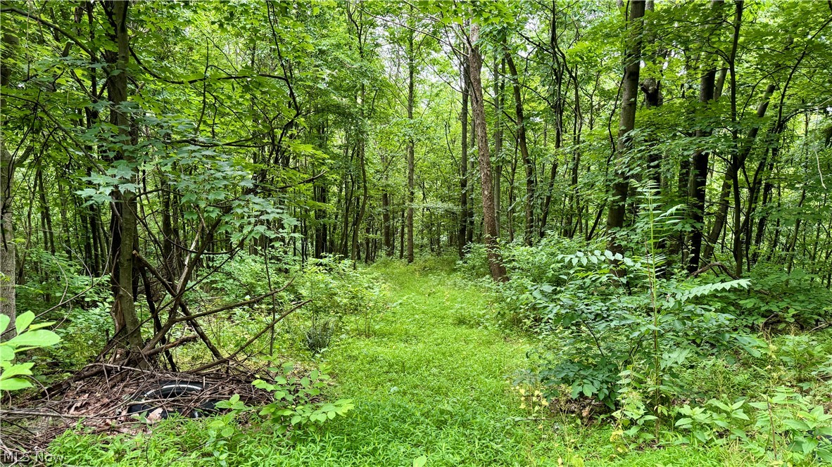 Marlott Run Road Newcomerstown OH 43983