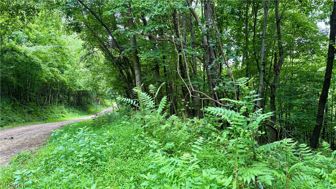 Marlott Run Road Newcomerstown OH 43983