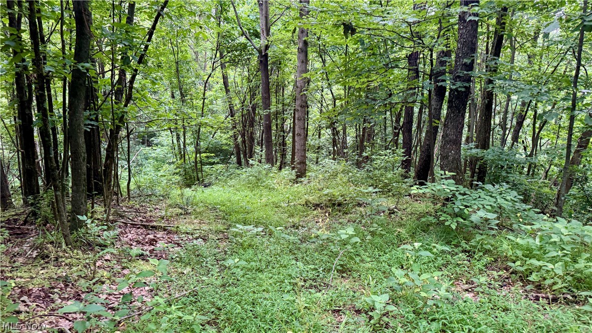 Marlott Run Road Newcomerstown OH 43983