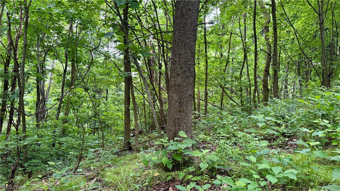 Marlott Run Road Newcomerstown OH 43983