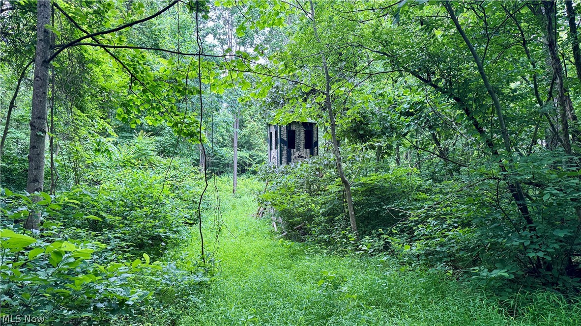 Marlott Run Road Newcomerstown OH 43983