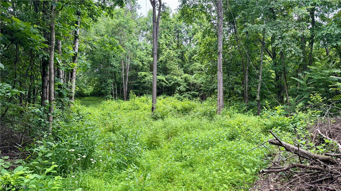 Marlott Run Road Newcomerstown OH 43983