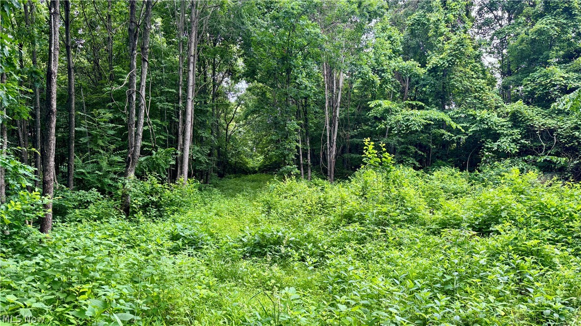 Marlott Run Road Newcomerstown OH 43983